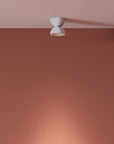 Dodot Flush Mount