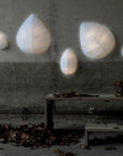 Eden Outdoor Sconce