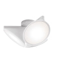 Orchid Flush Mount