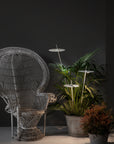 Xana Outdoor Floor Lamp