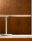 Brazo Table Lamp