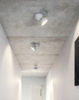 Dodot Flush Mount