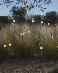 Pois Outdoor Floor Lamp