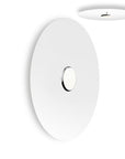 Sky Flush Mount