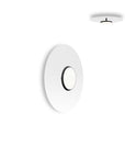 Sky Flush Mount